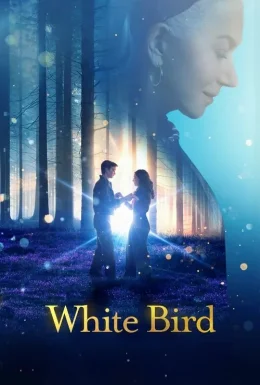 movie-card