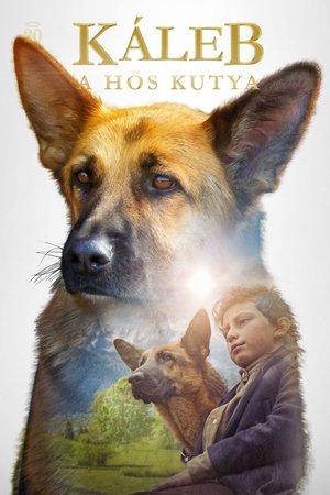 Káleb, a hős kutya
