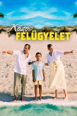 Közös felügyelet
