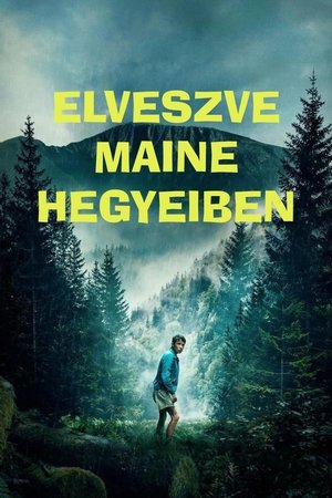 Elveszve Maine hegyeiben