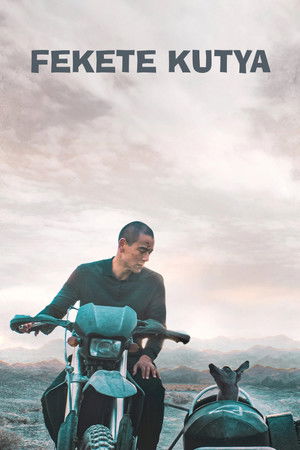 Fekete kutya